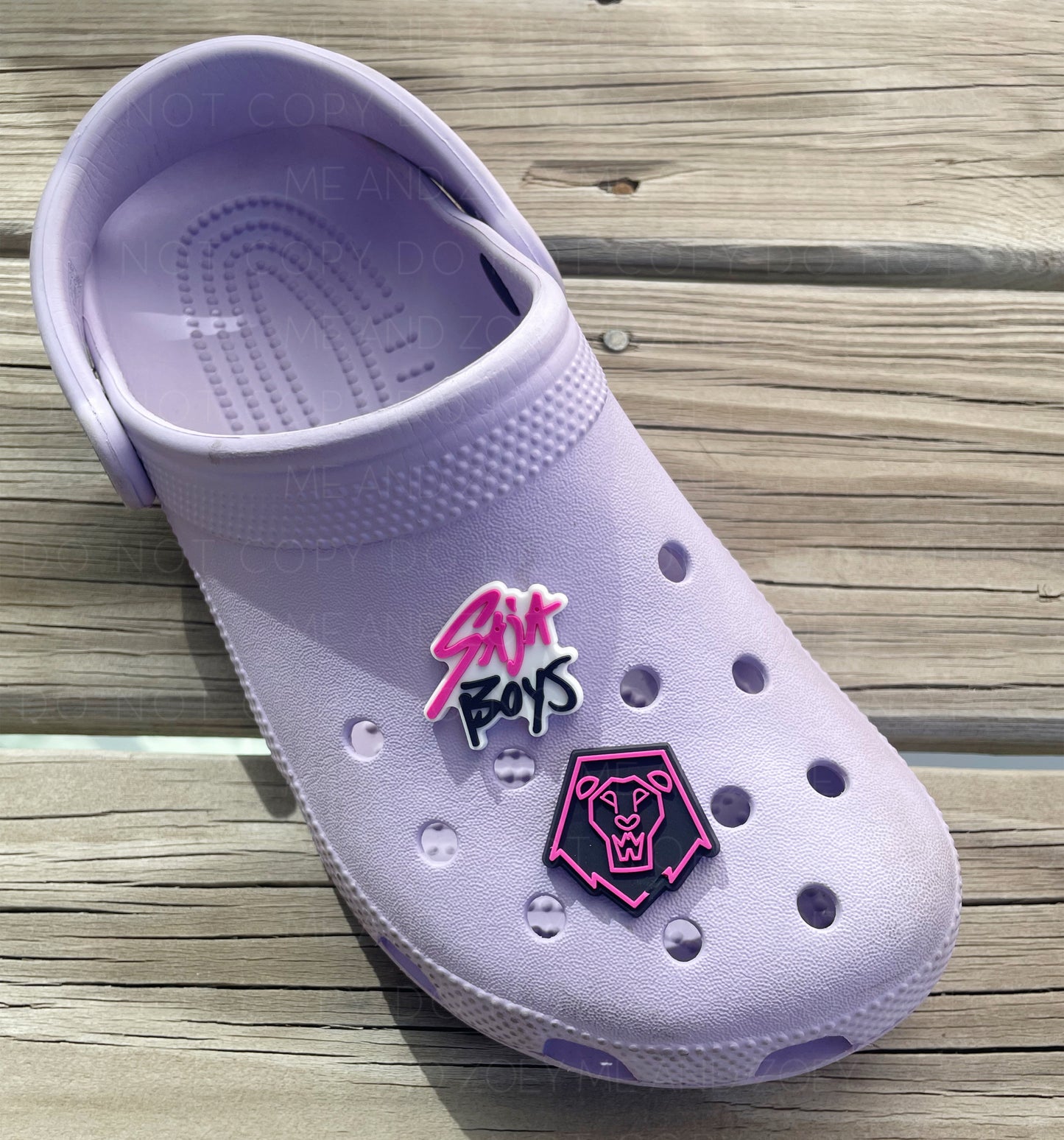 Mystery Hunter Shoe Charms (Set of 6)