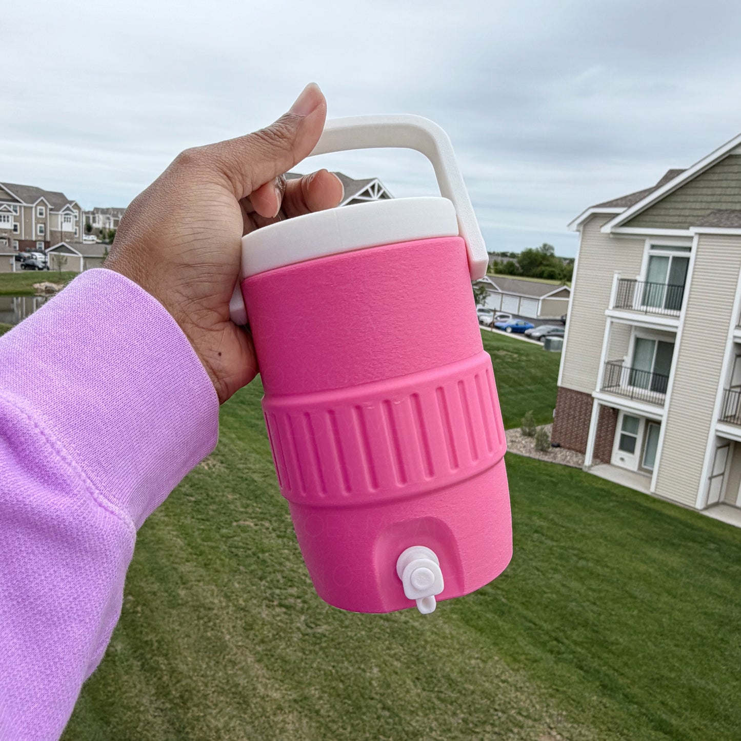 3D Printed 12oz Can Holder Tumbler with Straw Lid | Soda & Seltzer Can Cozy | 4 WEEKS FROM CLOSING - MeAndZoey